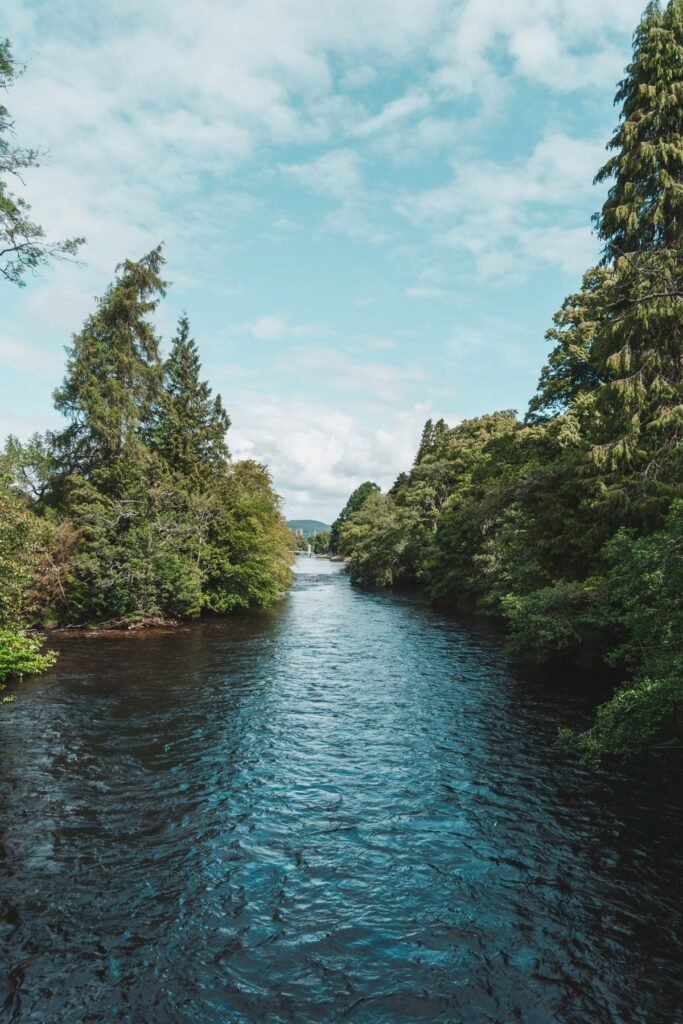 Bomen langs de rivier de Ness