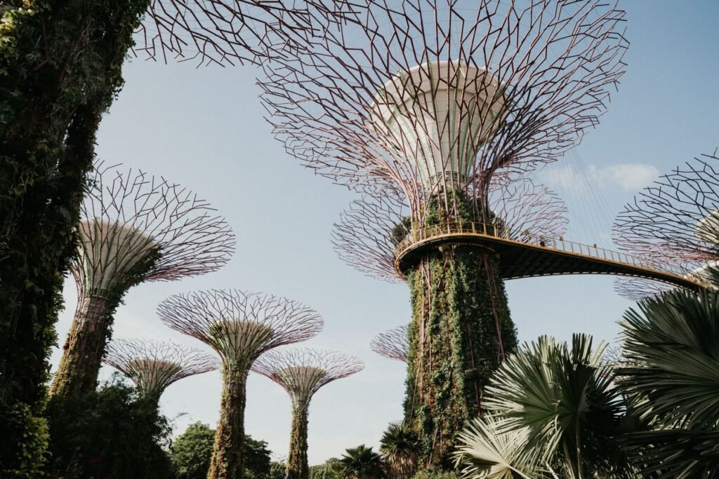 Supertrees in Gardens by the Bay