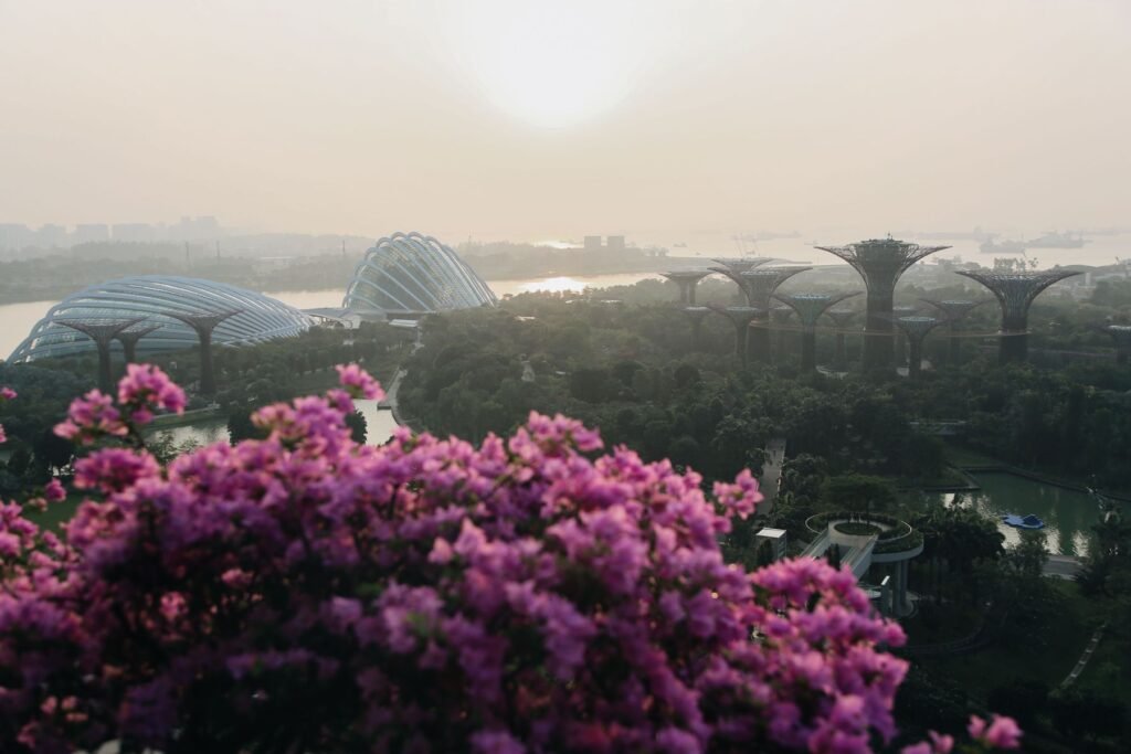 Bloemen en Supertrees in de ochtendnevel