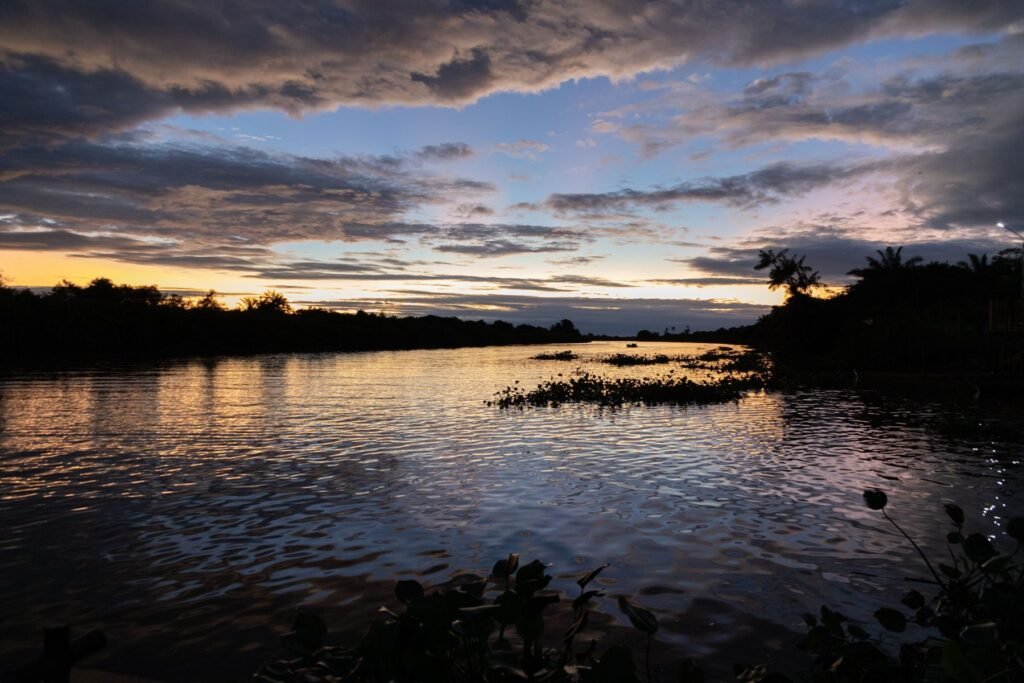 Rivier in de schemering met tropisch groen