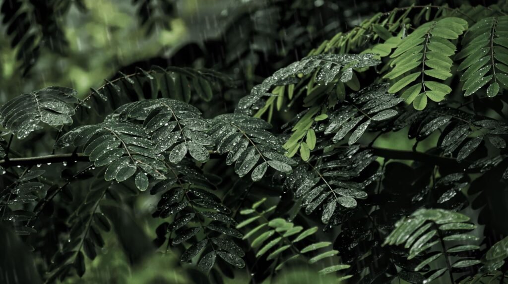 Close-up van tropisch groen
