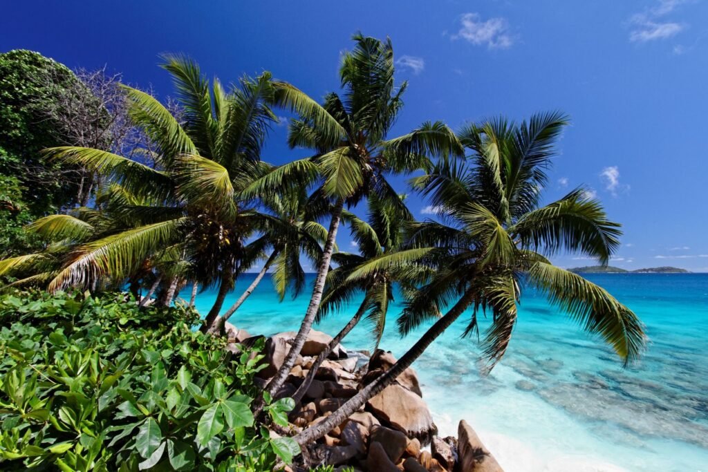 Palmenstrand op La Digue