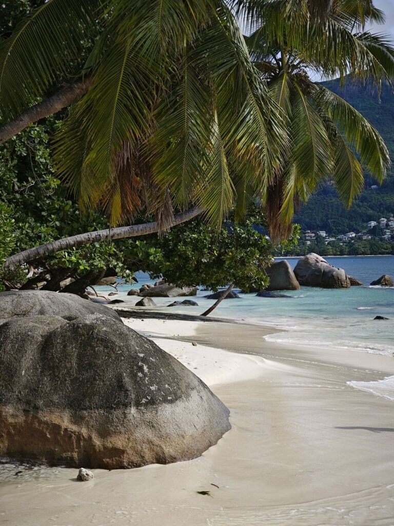 Strand met palmen en rotsen bij Beau Vallon