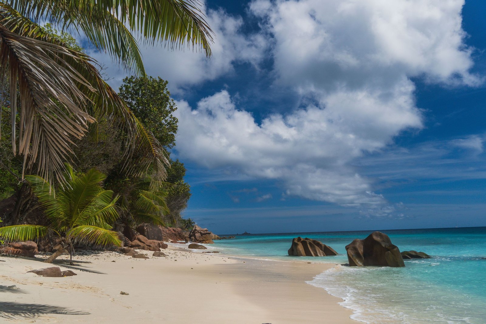 Palmenstrand met granietrotsen op de Seychellen