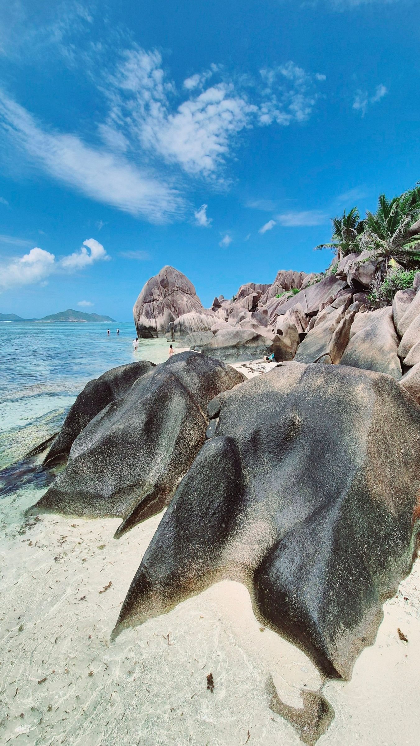 Beste reistijd Seychellen: weer, wind en zeewier per maand
