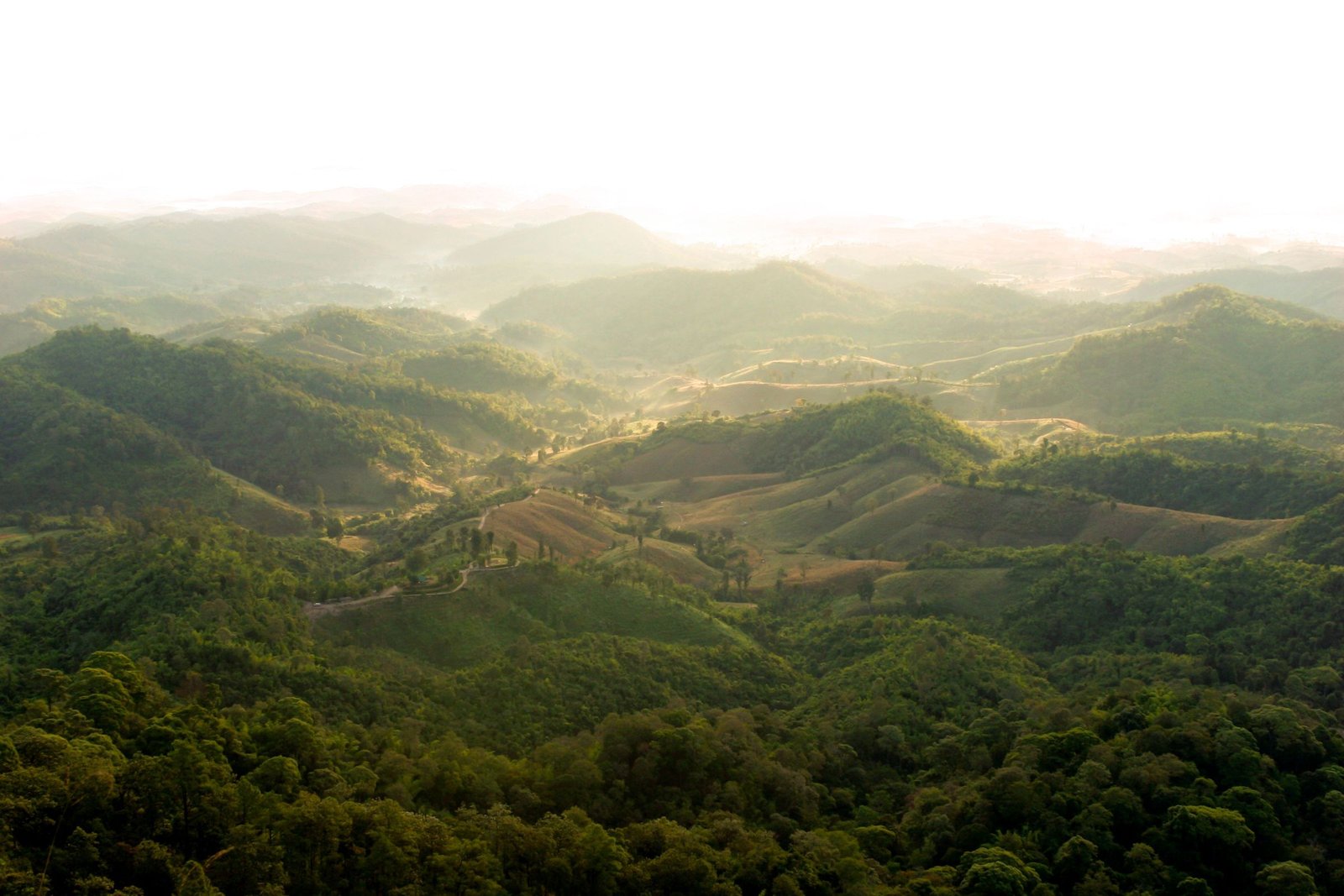 Groene heuvels in het noorden van Thailand