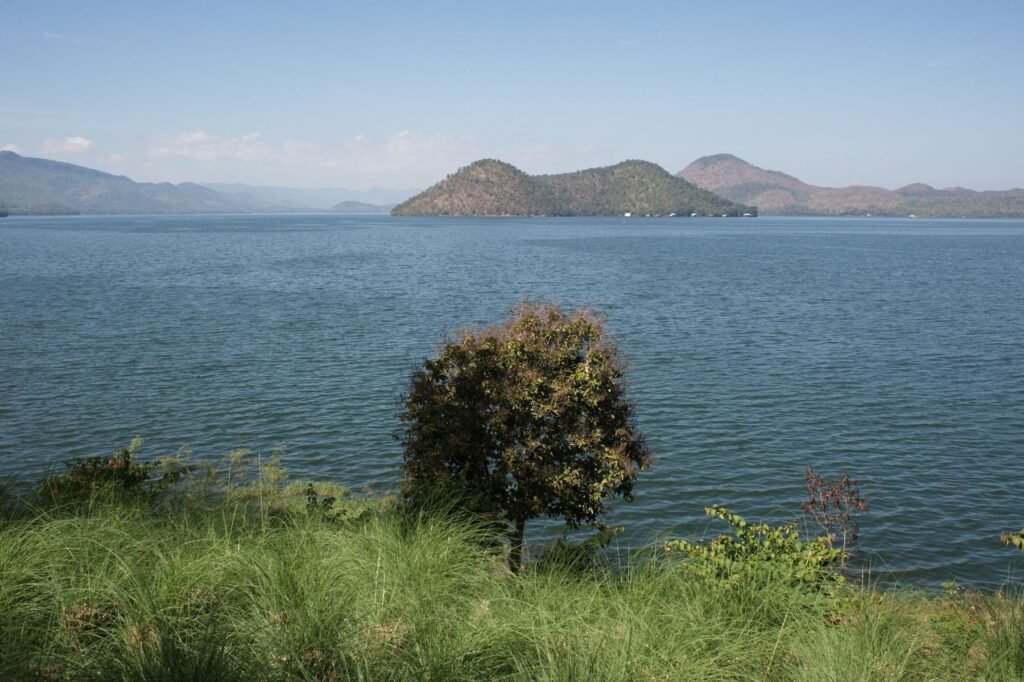 Meer met een boom in de provincie Kanchanaburi