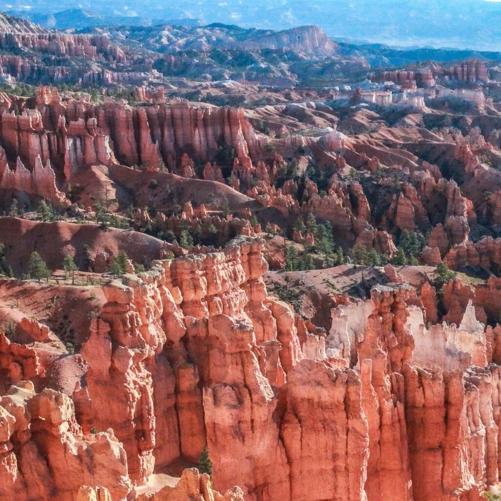 Hoodoos in Bryce Canyon