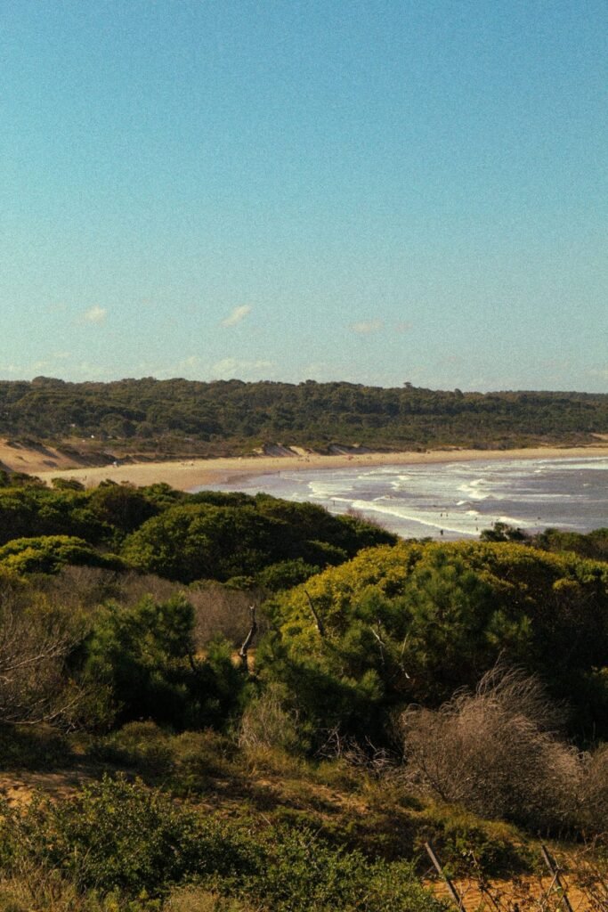 Groene duinen en kust bij Punta del Diablo
