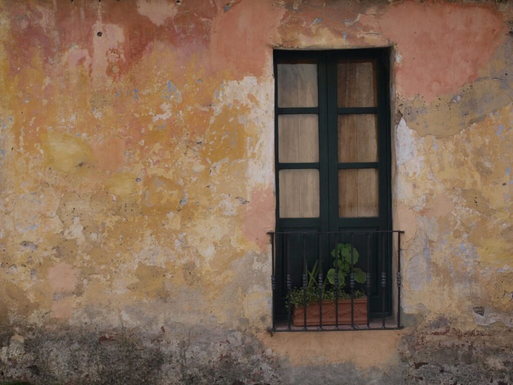 Oud raam met plantjes in Colonia del Sacramento