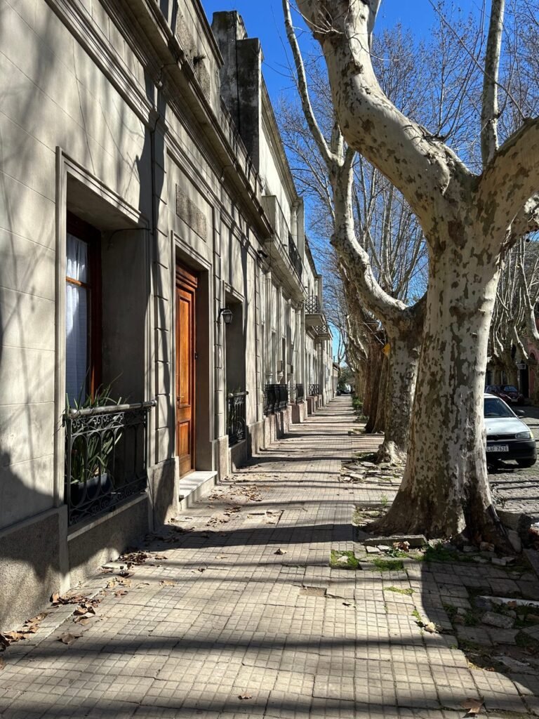 Straat met platanen in Colonia del Sacramento