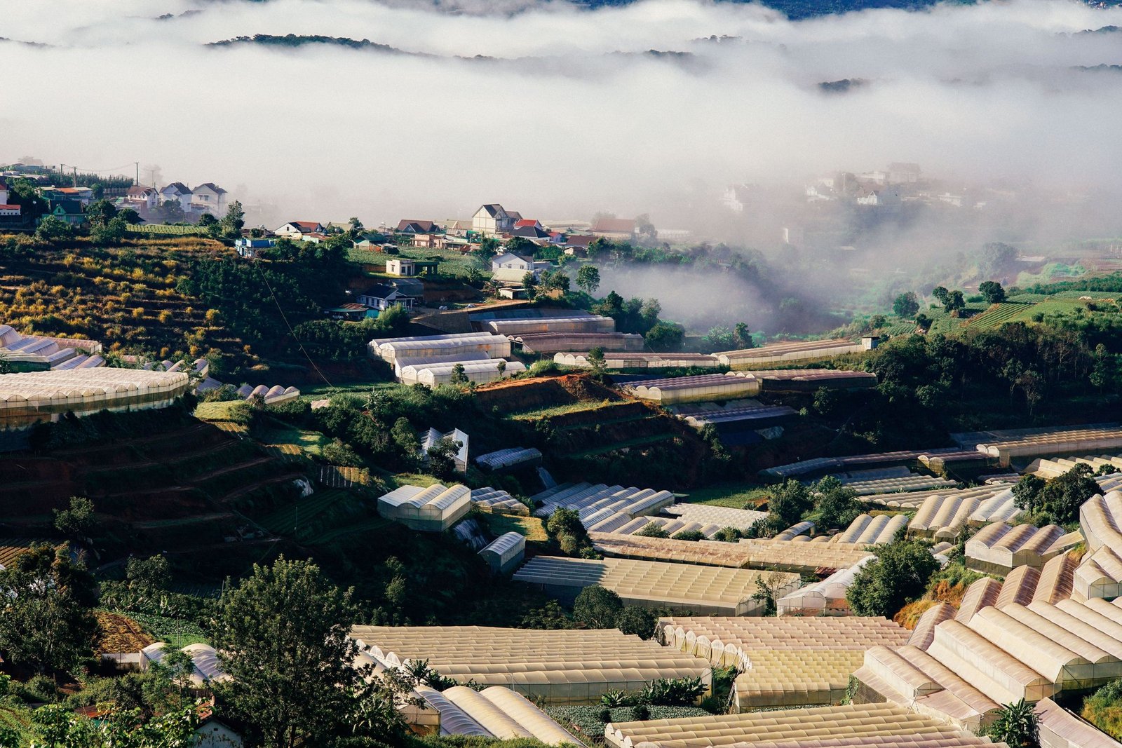 Heuvels en kassen rond Da Lat in de mist