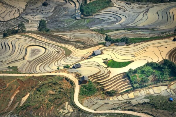 Rijstterrassen in het noorden van Vietnam van bovenaf