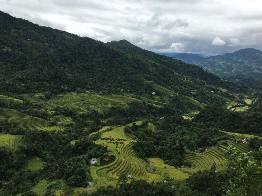 Rijstterrassen in Hoang Su Phi