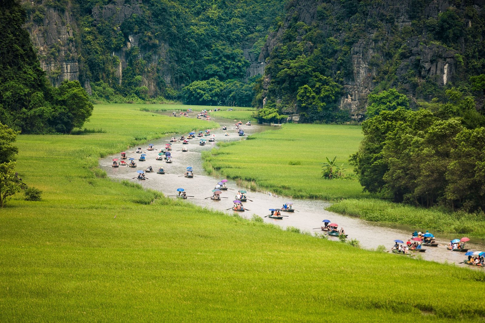 Boten op de rivier tussen de rijstvelden van Ninh Binh