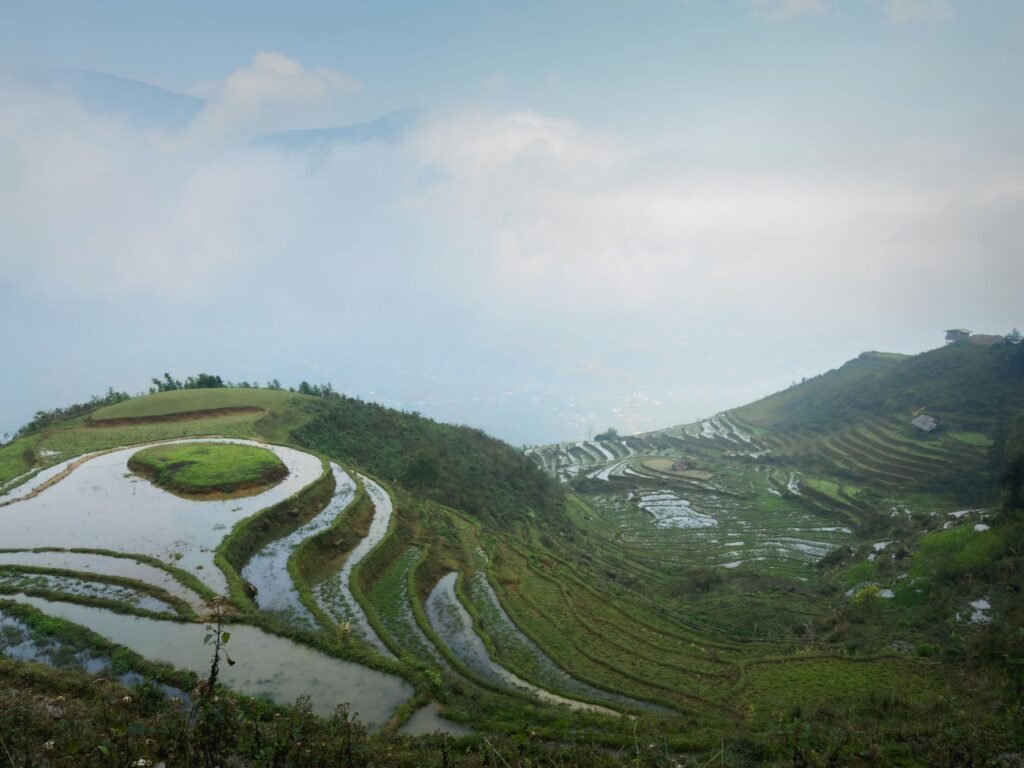 Rijstterrassen met water bij Sapa