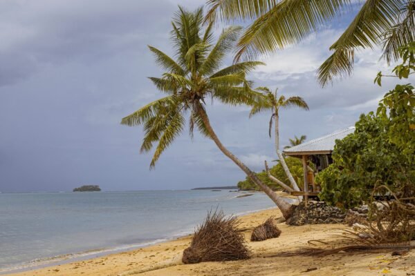 Tropisch strand met palmbomen bij Apia op Samoa