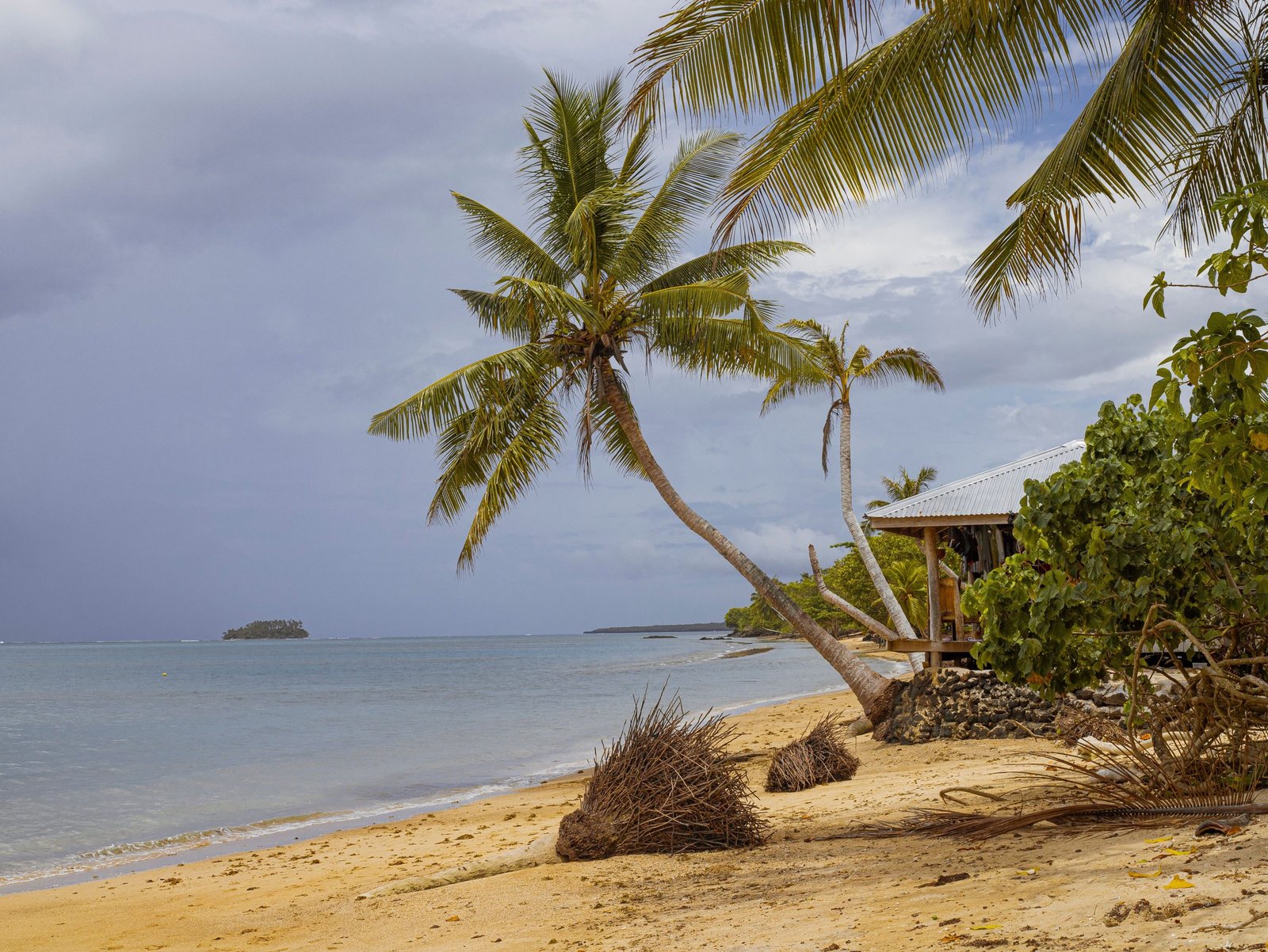Tropisch strand met palmbomen bij Apia op Samoa